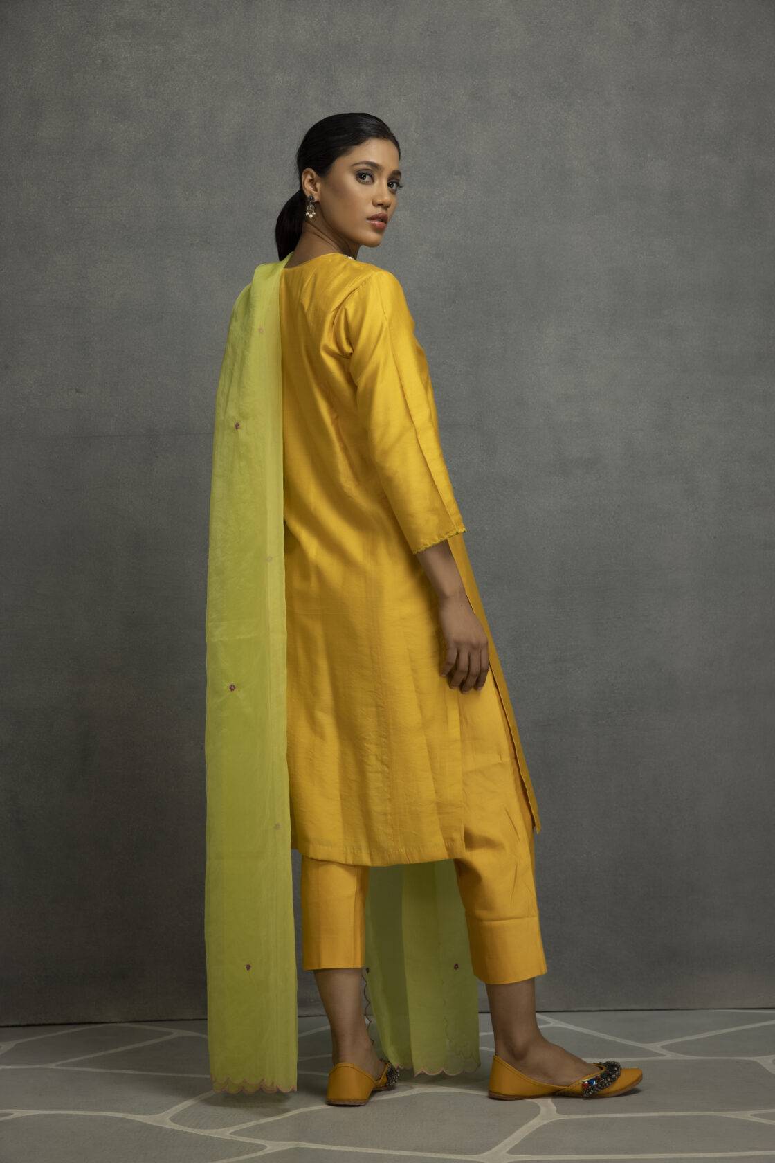 Straight Kurta With Princess Line